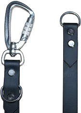 modular leash system